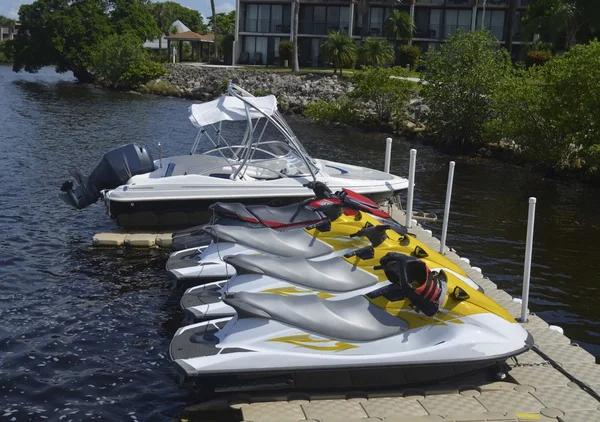 Ski Rentals for Every Skier: From Novice to Pro